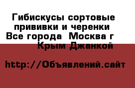 Гибискусы сортовые, прививки и черенки - Все города, Москва г.  »    . Крым,Джанкой